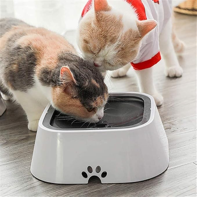 AquaSip™ — End Mess, Embrace Calm: Happy Pets and Spotless Floors Every Sip