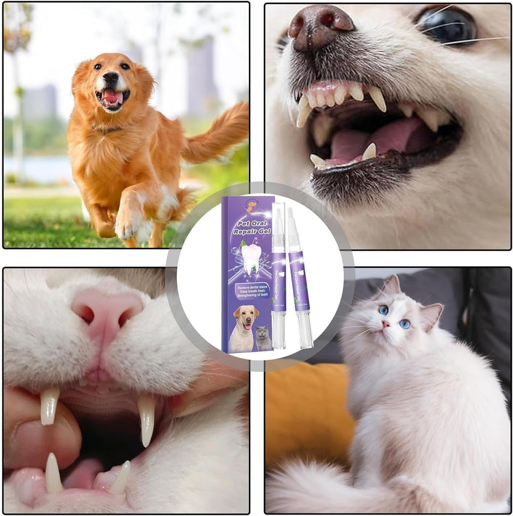 VibrantPaw™ — Unleash Your Pet’s Brightest, Freshest Smile Ever