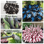 ShadeMuse™ — Transform Hidden Shade into a Vibrant, Effortless Garden Sanctuary