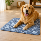 DogBedHouse Super-Absorbent Leak-Proof Non-Slip Training Pads (Washable, 2-Pack)