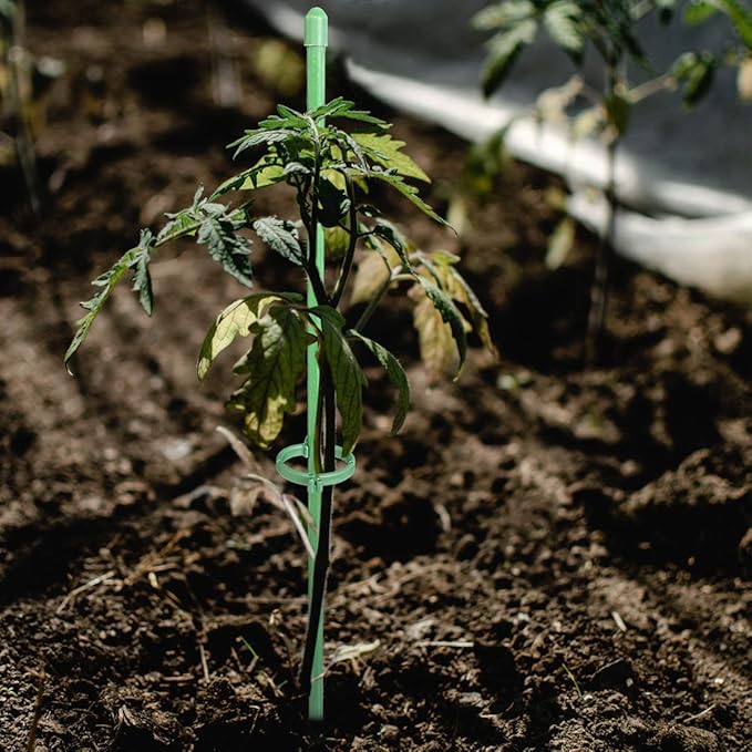 ThriveGrip™ — Unshakable Support That Turns Your Garden Into a Showstopper