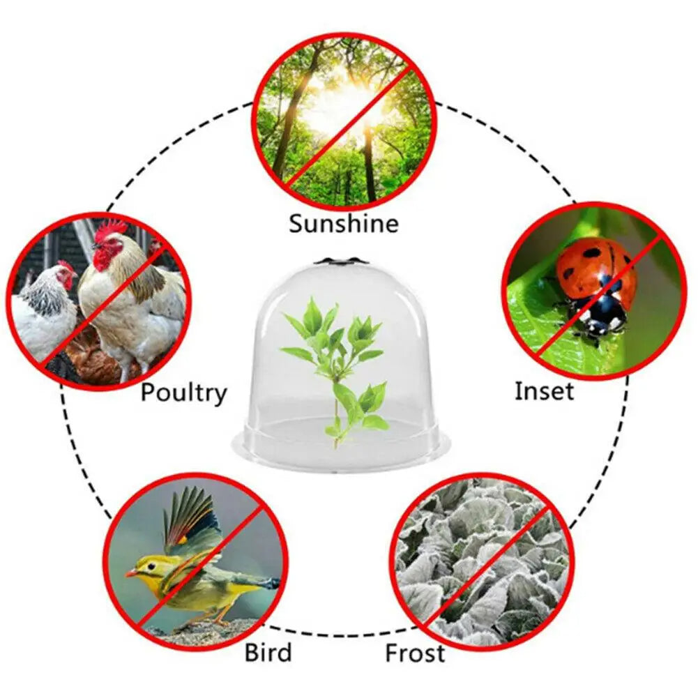 Garden Plant Cover | Clear Frost Shield | For Seedlings & Vegetables | Frostguard
