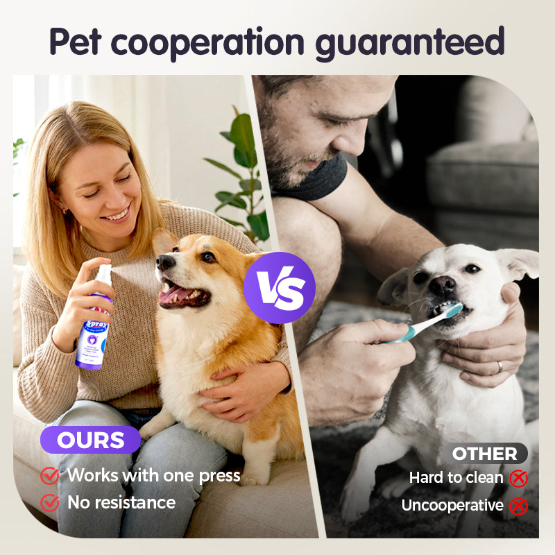 SmileSpritz™ — Transform Your Pet’s Breath into Pure, Cuddle-Worthy Freshness