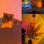 Sunset Lamp | 16 Colors + Remote Control LED Projector Table Lamp - USB Nightstand Lamps