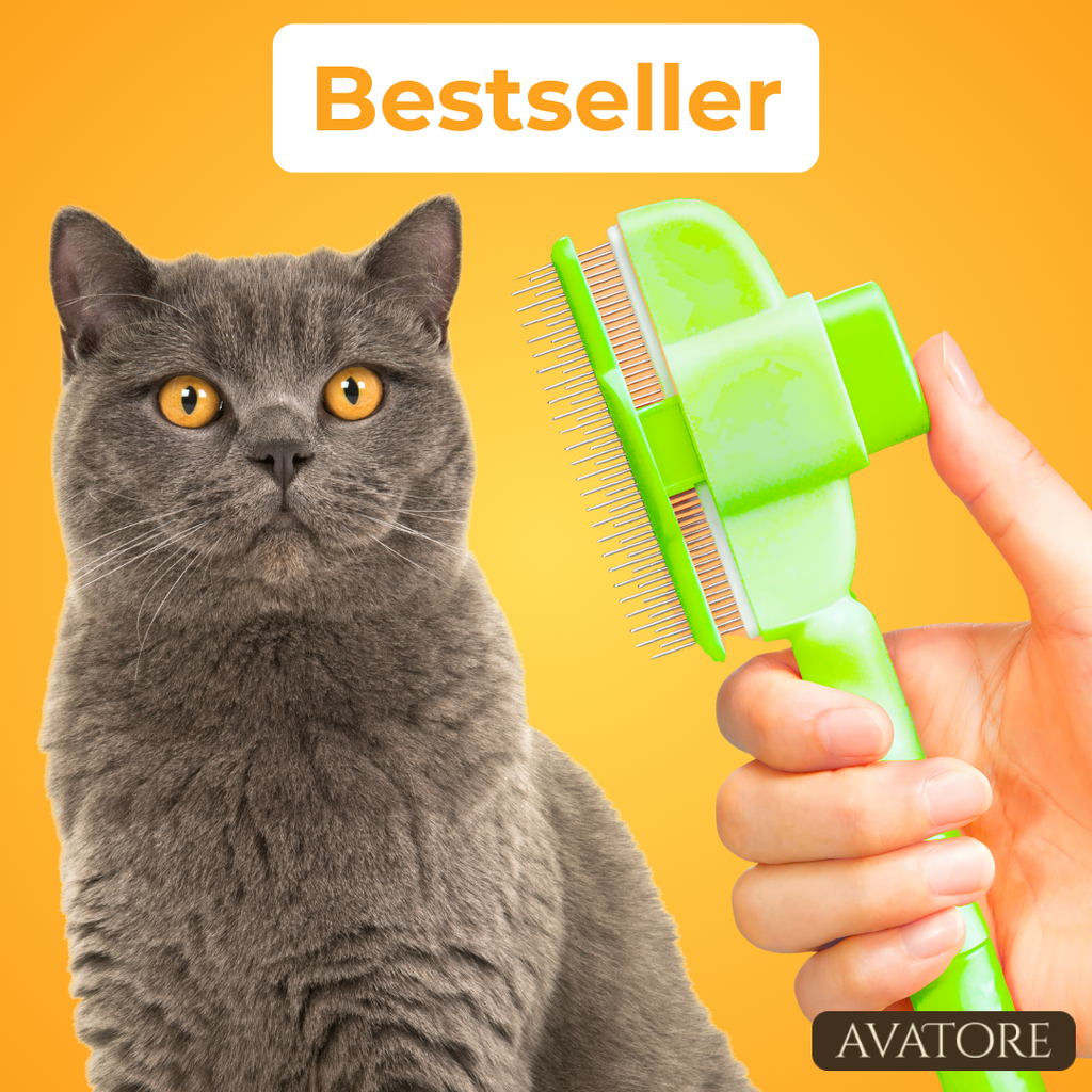 SereniPaw™ — Transform Brushing Into Your Cat’s Most Loved Moment