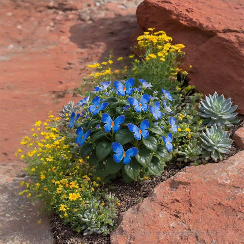 EnchantWing™ Butterfly Bloom Seeds — Transform Your Garden into a Vibrant Butterfly Paradise That Dazzles Every Eye
