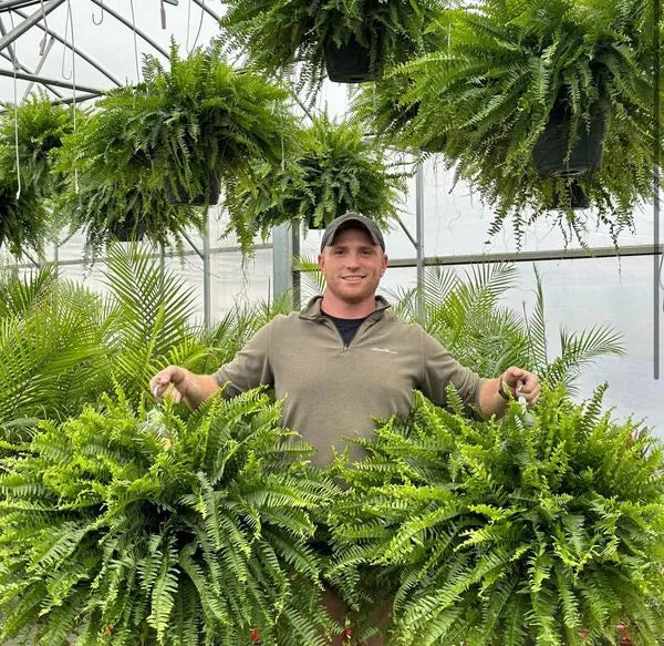 EmeraldMoss™ — Stunningly Real Greenery That Thrives Without Effort or Watering
