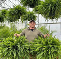 EmeraldMoss™ — Stunningly Real Greenery That Thrives Without Effort or Watering