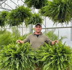 EmeraldMoss™ — Stunningly Real Greenery That Thrives Without Effort or Watering