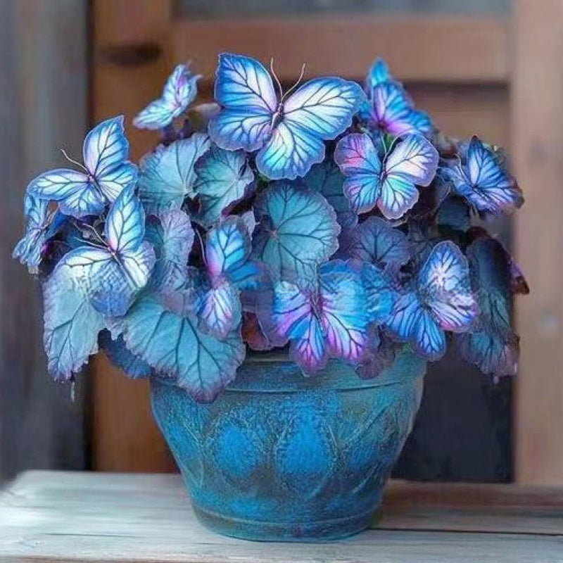 EnchantWing™ Butterfly Bloom Seeds — Transform Your Garden into a Vibrant Butterfly Paradise That Dazzles Every Eye