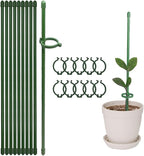 ThriveGrip™ — Unshakable Support That Turns Your Garden Into a Showstopper