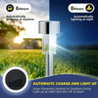 Solar Waterproof LED Pathway Lights (Set of 10/20/30)