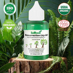 VerdiLux™ Plant Elixir — Ignite Explosive Growth and Unstoppable Garden Vitality