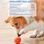 ThrillPup™ — Ignite Boundless Joy and Energy with Every Chase