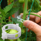 Plant Support Clips Plastic | Inner Diameter 1 Inch | Reusable | Stemhold