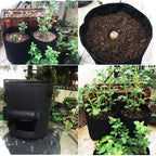 Plant Bag | Breathable Nonwoven Fabric | Velcro Harvest Flap | HarvestBag