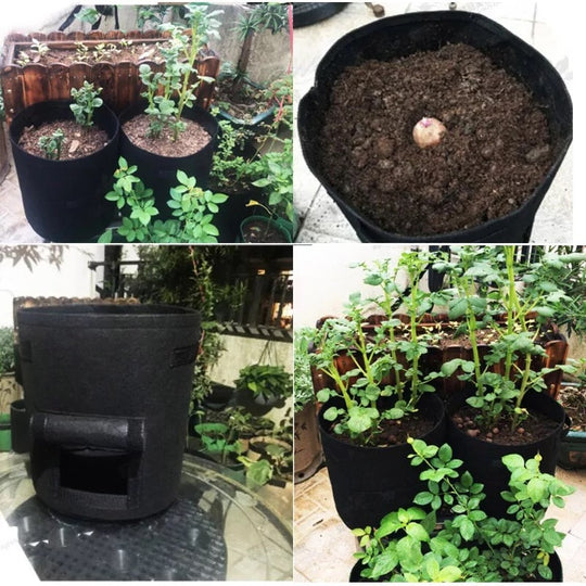 Plant Bag | Breathable Nonwoven Fabric | Velcro Harvest Flap | HarvestBag