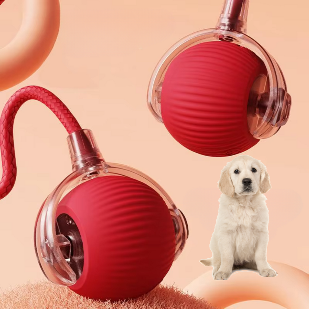 KineticPaw™ — Ignite Your Dog’s Wild Energy and Endless Joy with Every Chase