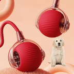 KineticPaw™ — Ignite Your Dog’s Wild Energy and Endless Joy with Every Chase