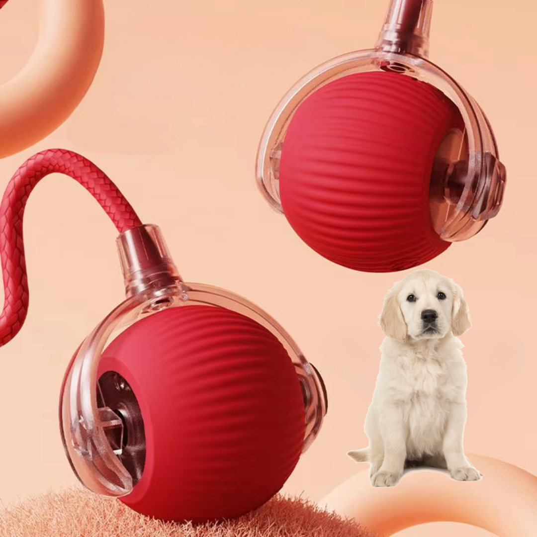 KineticPaw™ — Ignite Your Dog’s Wild Energy and Endless Joy with Every Chase