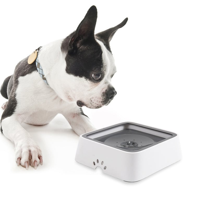 AquaSip™ — End Mess, Embrace Calm: Happy Pets and Spotless Floors Every Sip