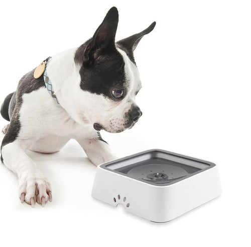AquaSip™ — End Mess, Embrace Calm: Happy Pets and Spotless Floors Every Sip