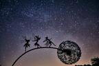 MystiBloom™ — Transform Your Garden into a Magical Sanctuary of Peace and Wonder