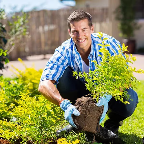 Soil Improvement Powder | Potassium Mineral Blend | For Beds and Containers | SoilLift