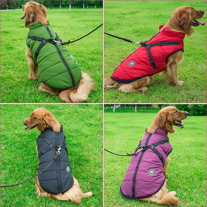 StormGuard™ Shield Coat — Wrap Your Dog in Cozy, Weatherproof Control for Stress-Free Walks