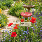 LumaBloom™ Nectar Haven — Ignite a Buzzing Garden Oasis Where Pollinators Thrive Safely