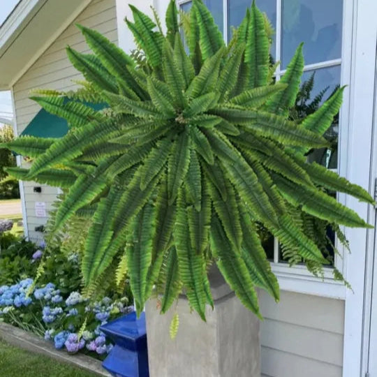 EmeraldMoss™ — Stunningly Real Greenery That Thrives Without Effort or Watering