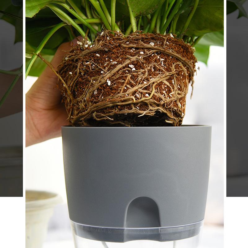 Flower Pot | Self-Watering | Clean Hydration | AquaWick