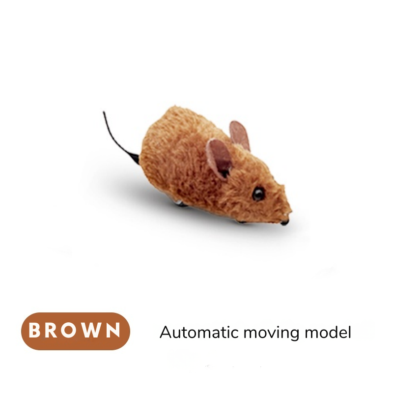 FurVanta™ — Effortless Pet Hair Removal That Transforms Your Home Instantly