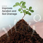 EverPureBloom™ — Ignite Your Garden’s Unstoppable Growth and Life-Rich Vitality