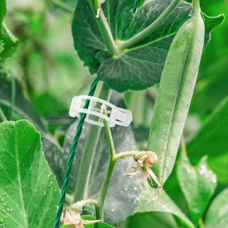Plant Support Clips Plastic | Inner Diameter 1 Inch | Reusable | Stemhold