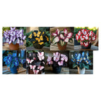 EnchantWing™ Butterfly Bloom Seeds — Transform Your Garden into a Vibrant Butterfly Paradise That Dazzles Every Eye