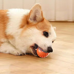 ThrillPup™ — Ignite Boundless Joy and Energy with Every Chase