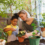ThriveGrip™ — Unshakable Support That Turns Your Garden Into a Showstopper