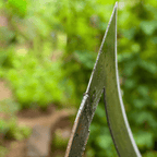 Garden Hoe Manganese Steel | Hand-Forged | Loosen Soil & Remove Weeds | Ironroot