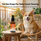 QuietPaws™ — Transform Your Pet’s Ears Into a Calm, Fresh Haven They’ll Love