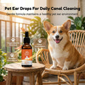 QuietPaws™ — Transform Your Pet’s Ears Into a Calm, Fresh Haven They’ll Love