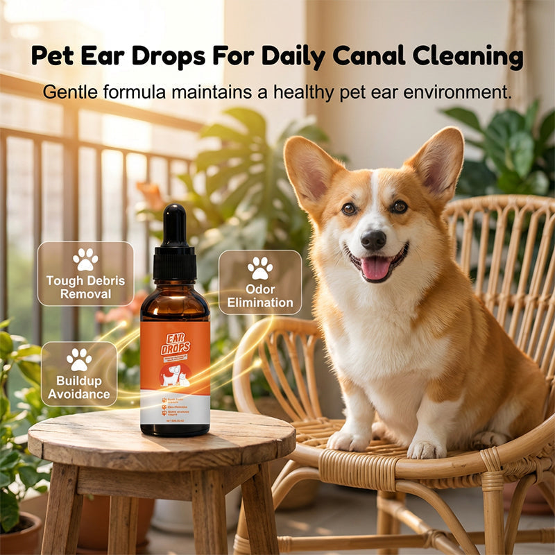 QuietPaws™ — Transform Your Pet’s Ears Into a Calm, Fresh Haven They’ll Love