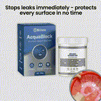 ArmorSeal™ — Shield Your Home with Invisible, Rock-Solid Protection Against Leaks and Cold