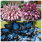 ShadeMuse™ — Transform Hidden Shade into a Vibrant, Effortless Garden Sanctuary