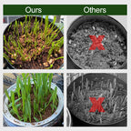 EverPureBloom™ — Ignite Your Garden’s Unstoppable Growth and Life-Rich Vitality