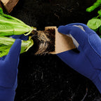 Garden Gloves | Cowhide Leather | Protection Against Thorns | Gripmoor