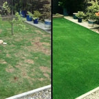 Lawn Mat | Fast Lawn Fix | Substitute for Lawn Rolls | TerraSprout