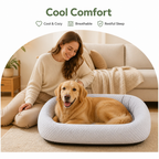 DogBedHouse Breathable Cooling & Supportive Cushioning Dog Bed