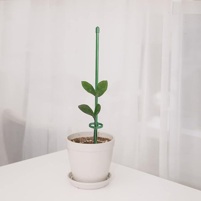 ThriveGrip™ — Unshakable Support That Turns Your Garden Into a Showstopper