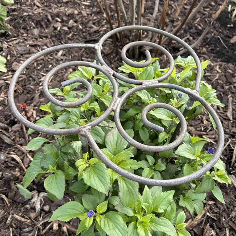 Plant Support Metal Handmade | Spiral Shape | Weather-Resistant | StemRise